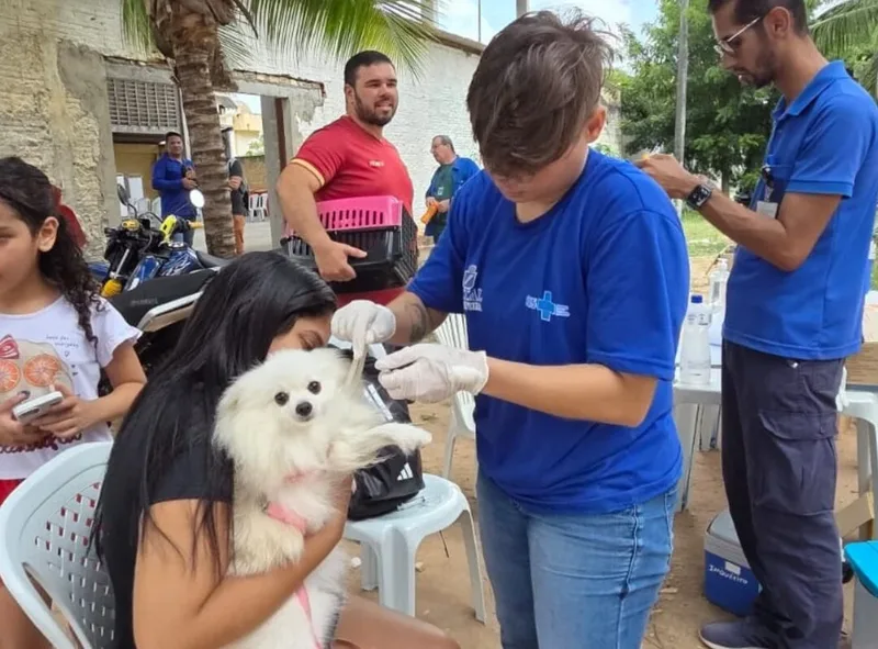 Natal amplia vacinação antirrábica para cães e gatos neste sábado