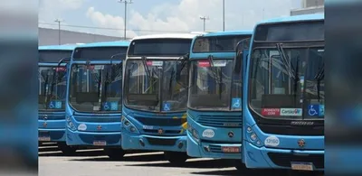 Transcol terá operação circular entre Terminal Laranjeiras e Nova Carapina