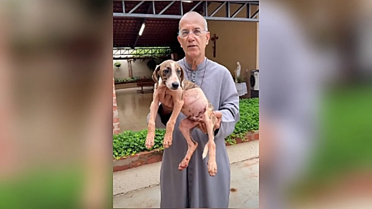 Padre diz que vídeo com cachorro foi tirado de contexto e nega maus-tratos