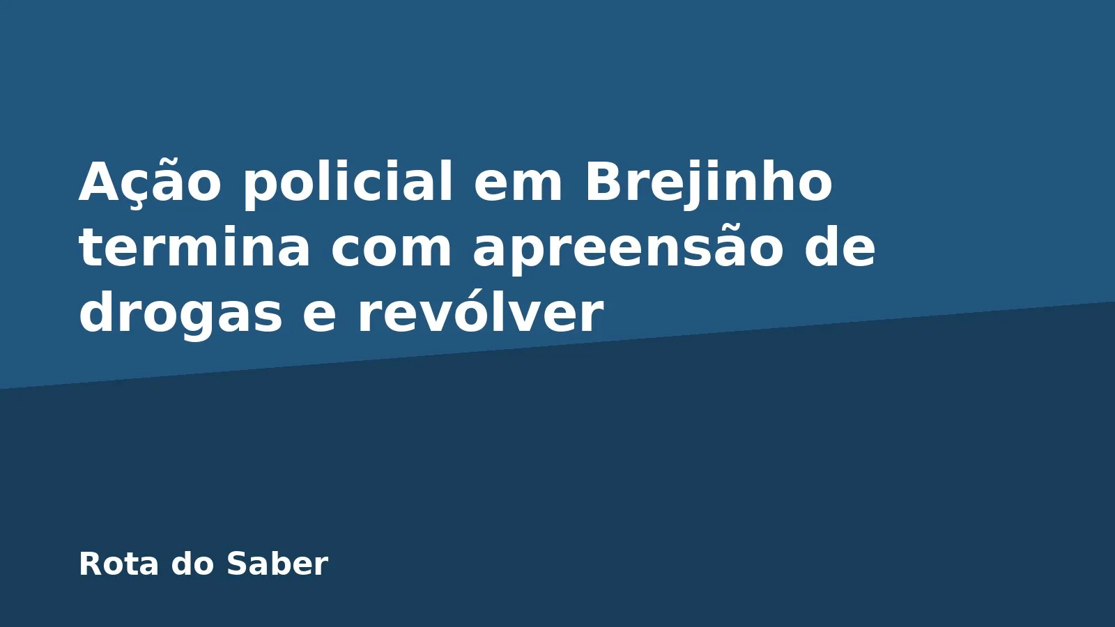 Ação policial em Brejinho termina com apreensão de drogas e revólver