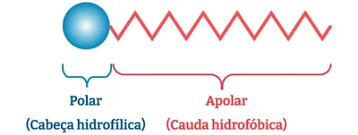 Tensoativos: como essas moléculas atuam na água e em produtos do dia a dia