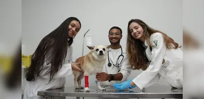 Faculdades do Espírito Santo abrem inscrições para vestibulares