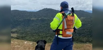 Resgate após queda de helicóptero em SC exigiu caminhada de três horas