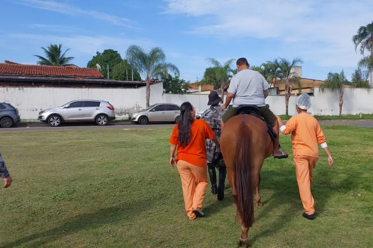 Cavalos participam de ação de humanização em hospital de Aparecida de Goiânia