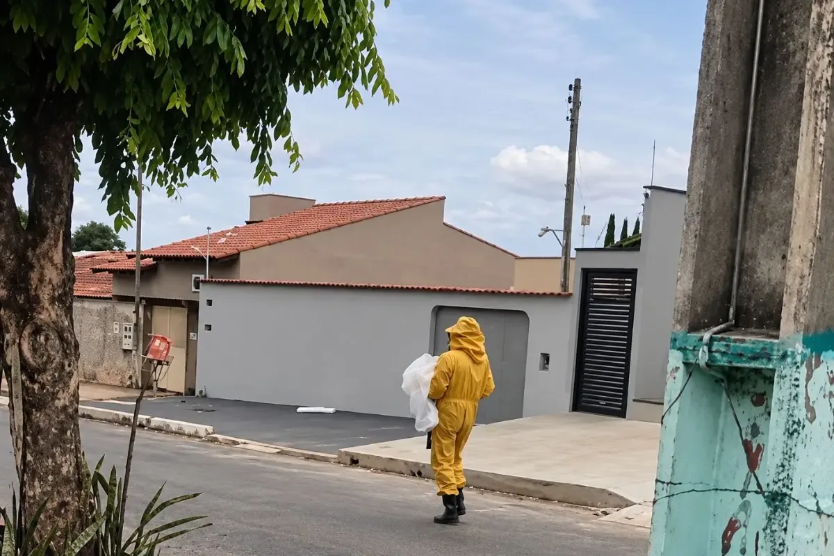 Caldas Novas isola quarteirão após enxame atacar cachorro e moradores