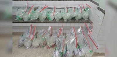 PRF apreende lança-perfume, gás butano e drogas na BR-101