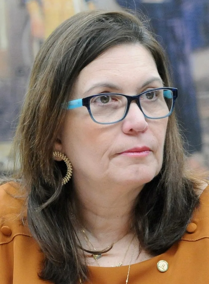 TRE-DF manda retirar publicidade associada à candidatura de Bia Kicis