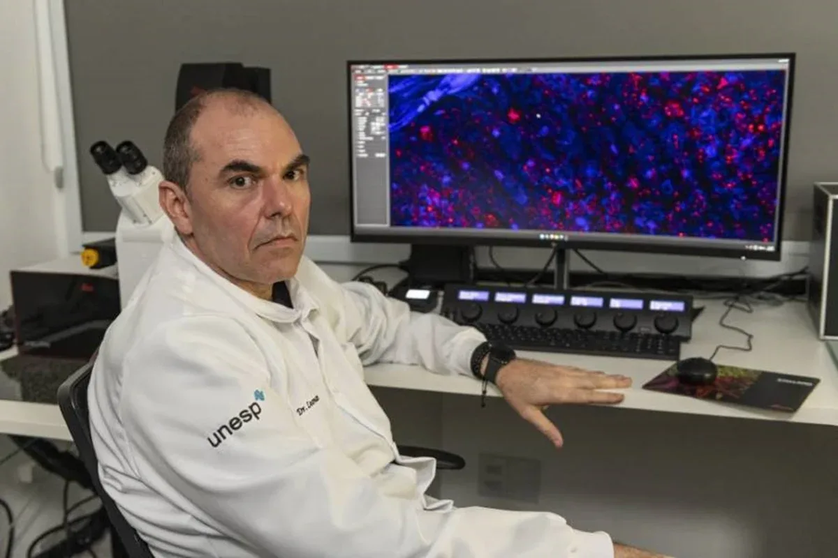 Pesquisador da Unesp é o primeiro brasileiro indicado ao ACS Fellows