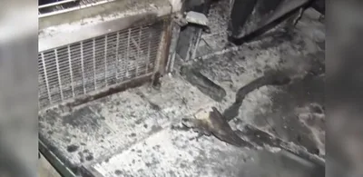Incêndio danifica copa de churrascaria no Jardim Camburi, em Vitória