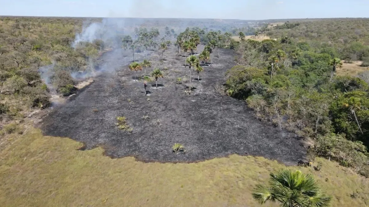 Área queimada em Goiás fica abaixo da média histórica até agosto