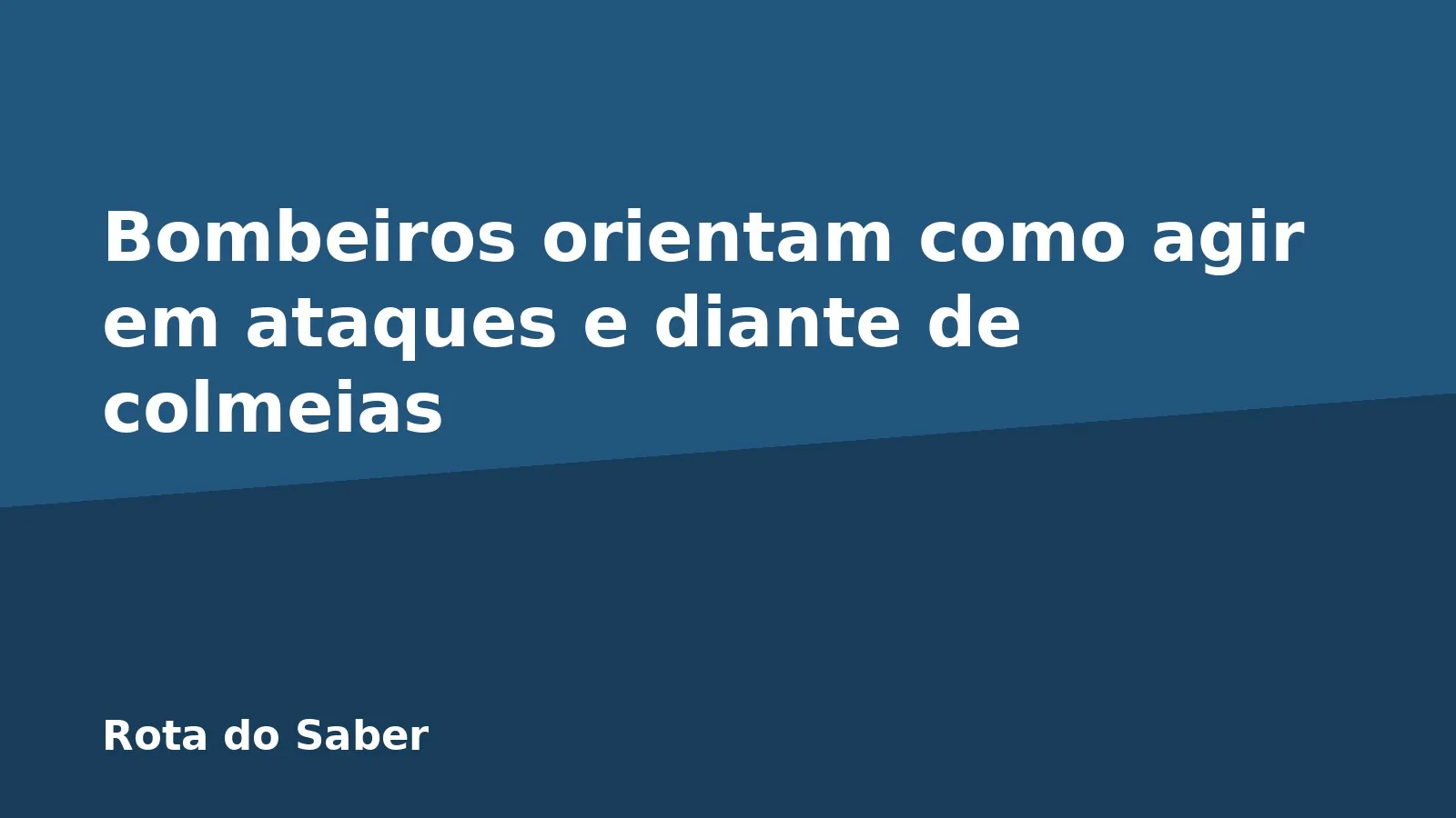 Bombeiros orientam como agir em ataques e diante de colmeias