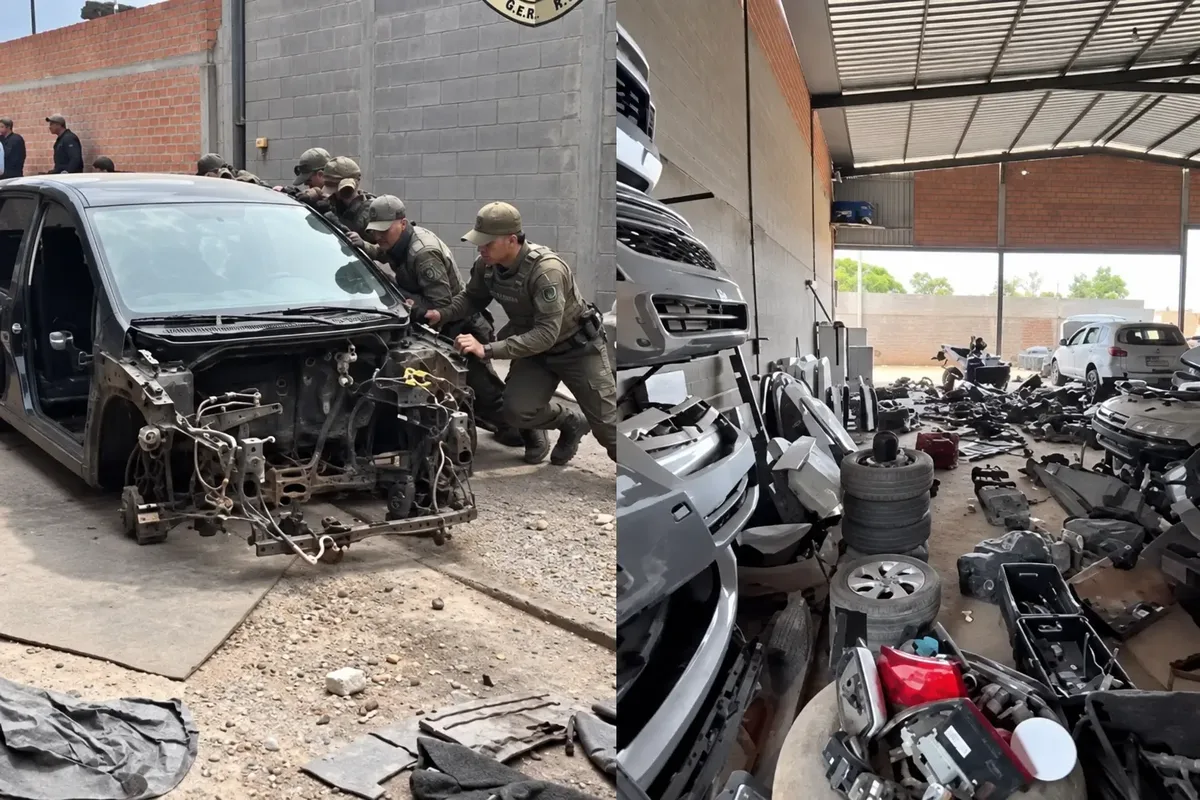 Operação da PM apreende veículos furtados em galpão de Aparecida de Goiânia