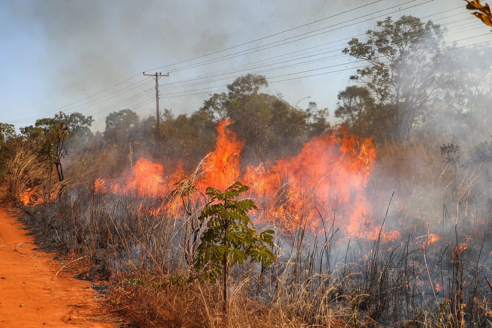 Incêndio florestal perto de casas exige acionamento do 193