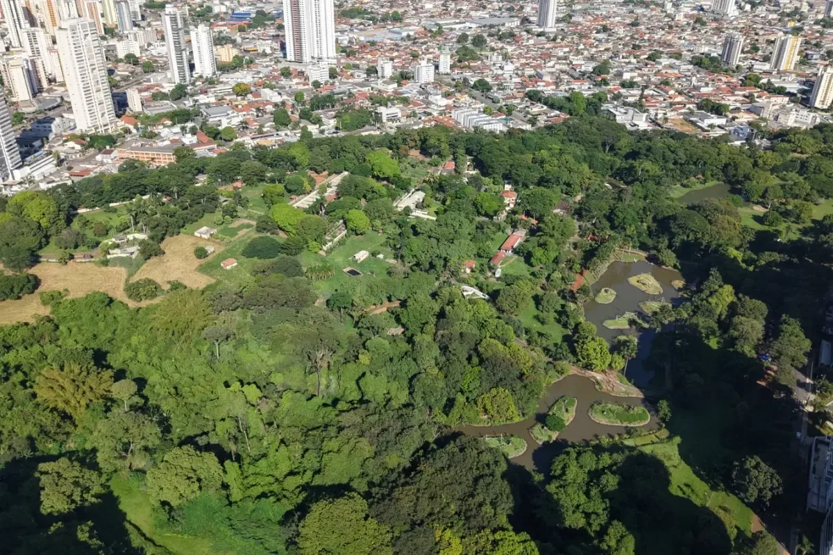 Pesquisa aponta perfil de visitantes e conexões em Goiânia