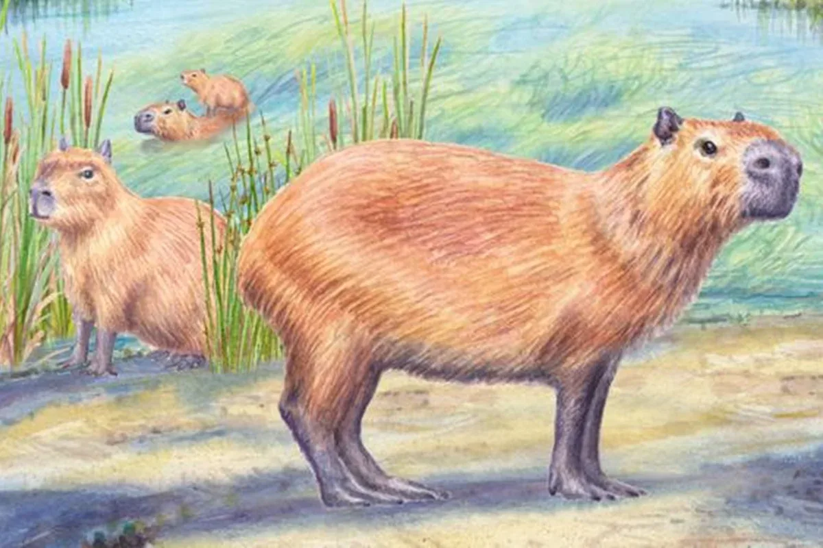Dente fossilizado indica que o Atacama teve áreas úmidas há 9 milhões de anos