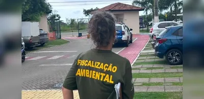 Cadela resgatada na Serra é diagnosticada com TVT; responsável acaba detido