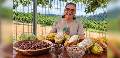 Cacau de Linhares vira chocolate sem açúcar e outros derivados artesanais