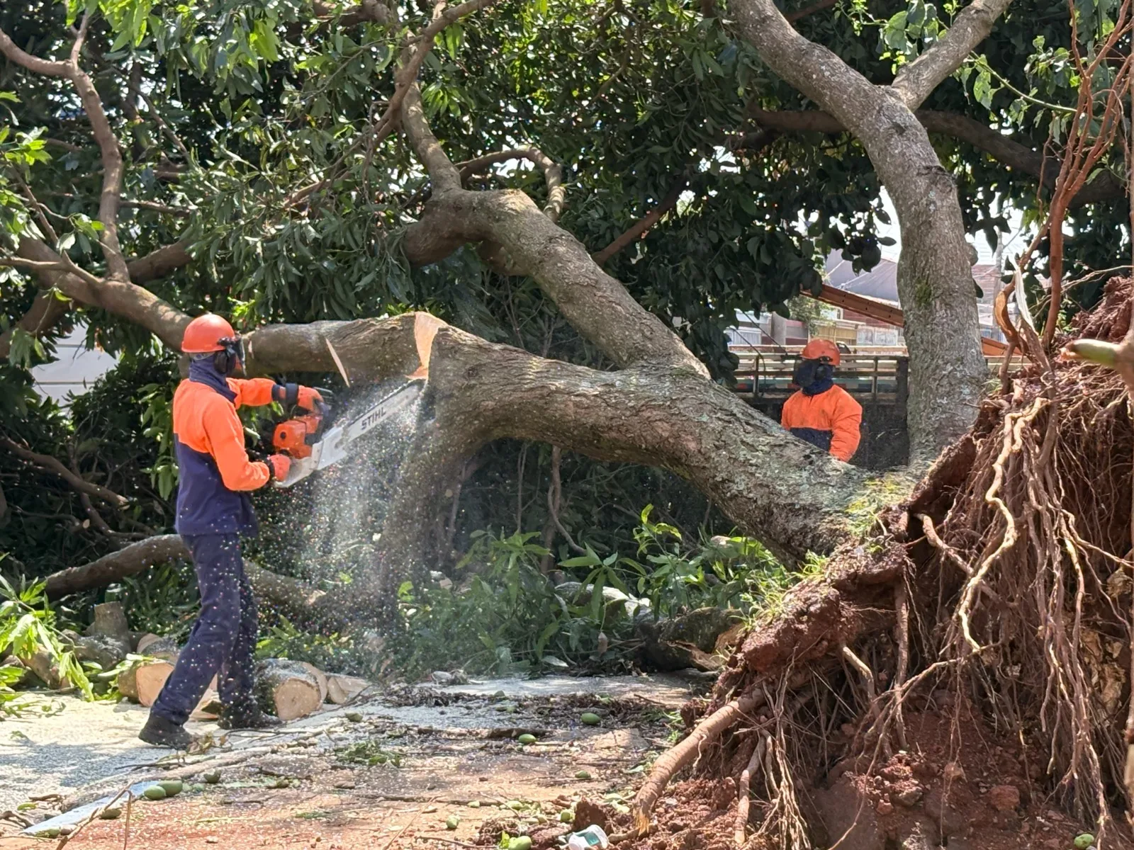 Defesa Civil interdita 14 imóveis após temporal no Distrito Federal