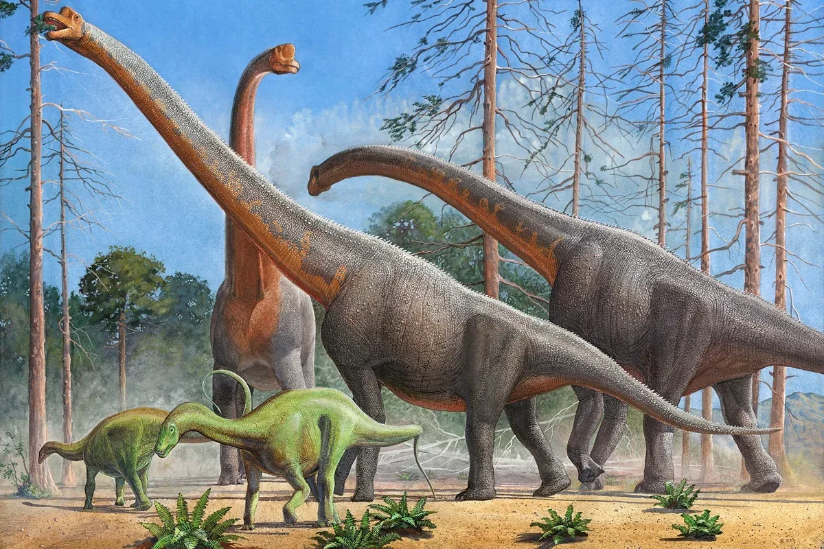 Estudo identifica saurópode maranhense ligado a dinossauro da Espanha