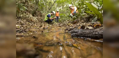 Samarco amplia restauração florestal e ações ambientais em MG e no ES