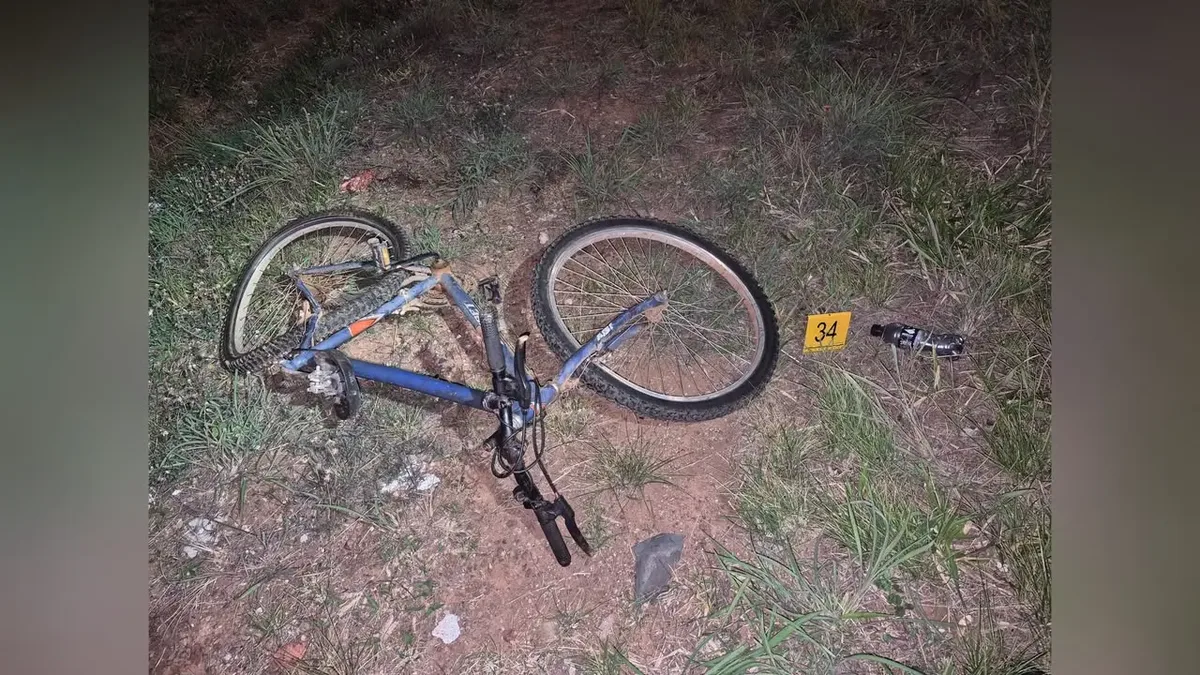 Perícia indica tentativa de desvio antes de atropelamento na BR-070