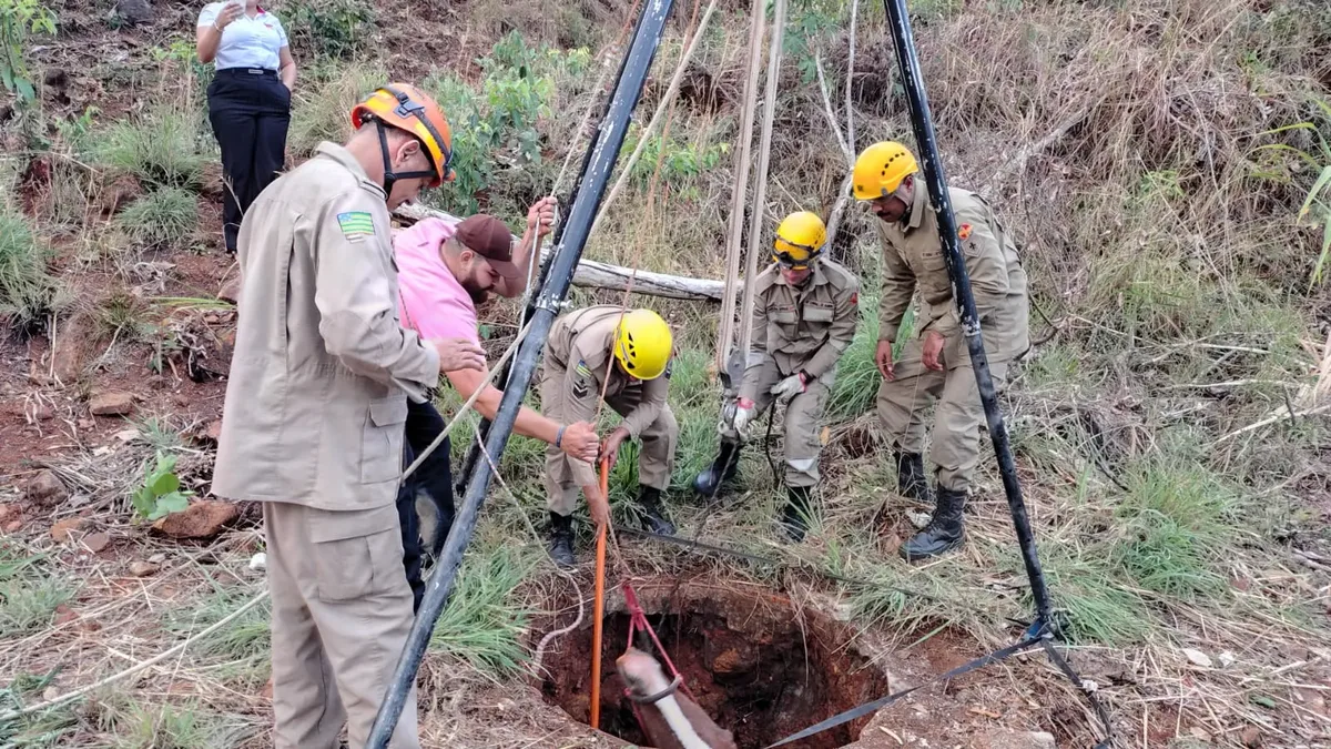 Cavalo é retirado vivo de poço em operação dos bombeiros em Goiás