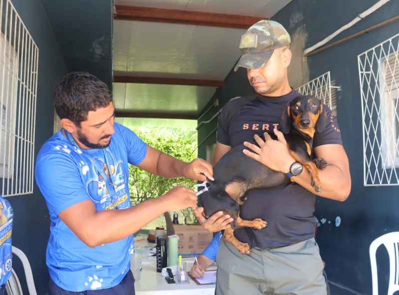 Natal registra 85.874 animais vacinados contra a raiva em 2026