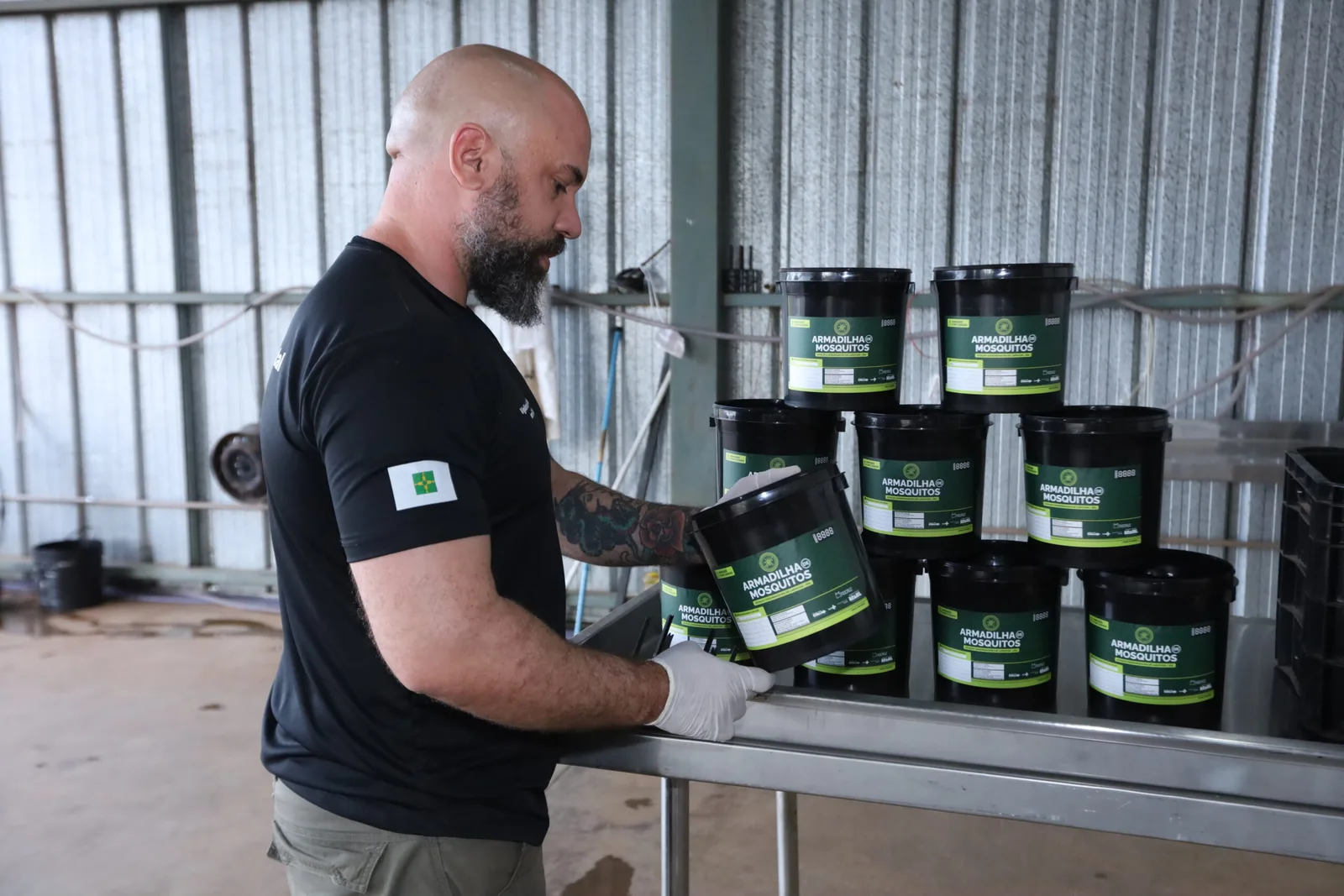 Dengue: DF usa drones, ovitrampas e Wolbachia no controle do mosquito