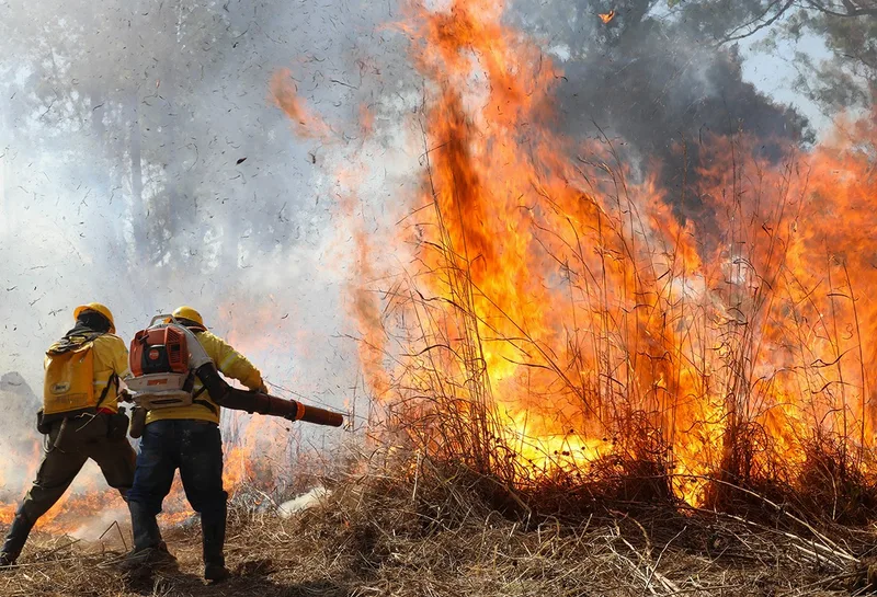 Bombeiros orientam prevenção após 30 focos em áreas de vegetação no DF